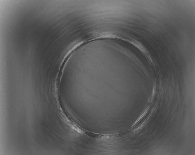 X0000059790806200511041559