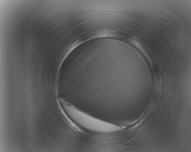X0000059790810200511041559