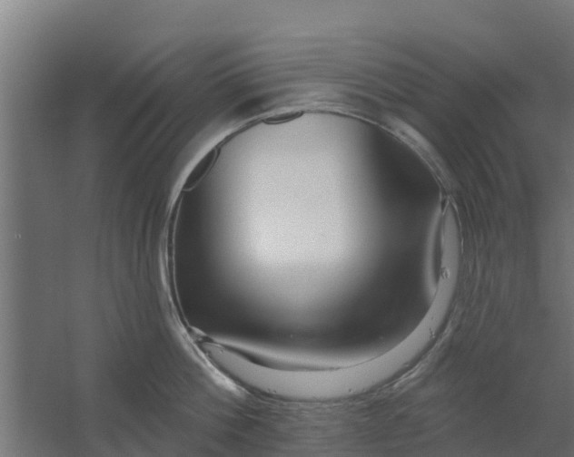 X0000059790812200511041559