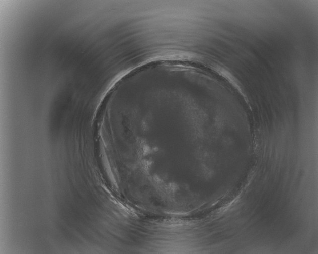 X0000059790829200511041558