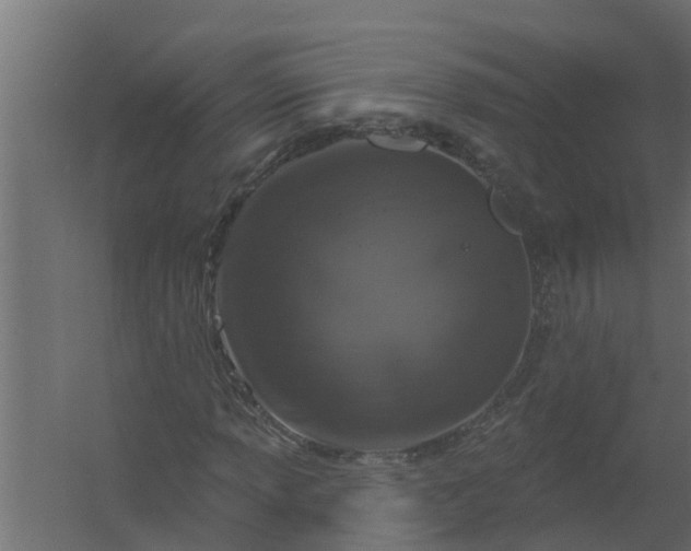 X0000059791013200511041555