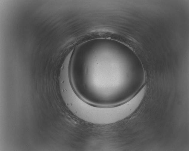 X0000059791014200511041555