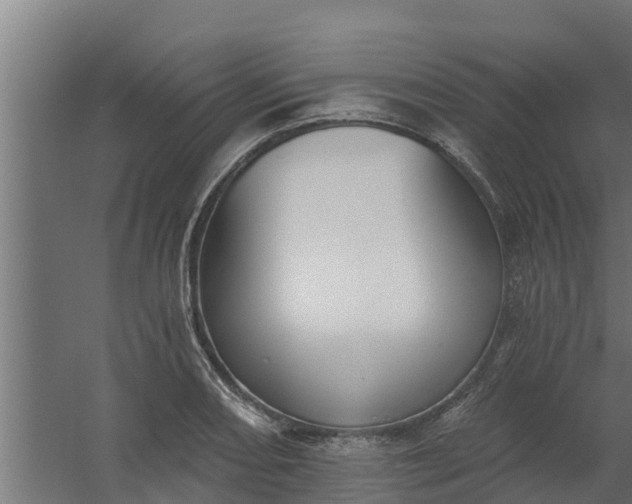 X0000059791082200511041554