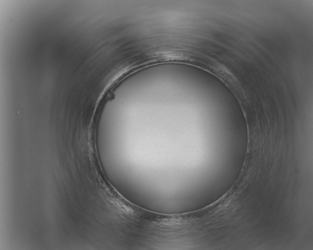 X0000059791182200511041553