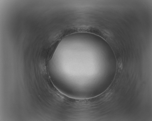 X0000059791252200511041551