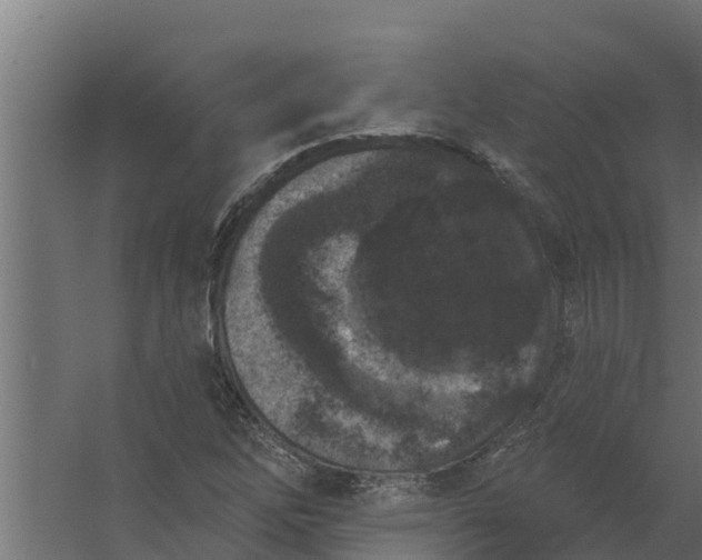 X0000059791262200511041551