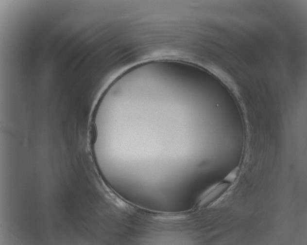 X0000059791296200511041551