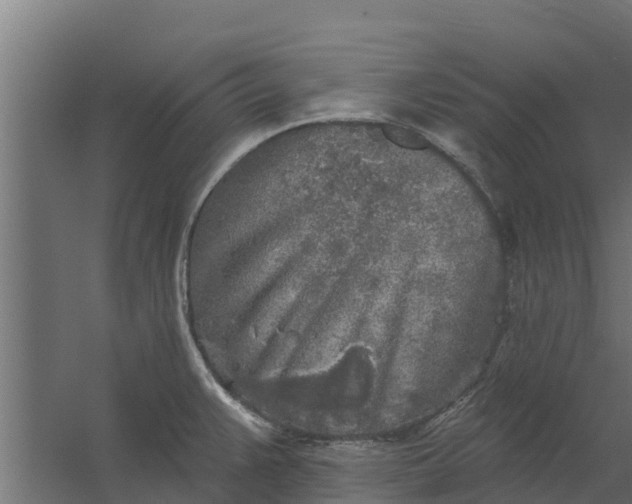 X0000059791383200511041549