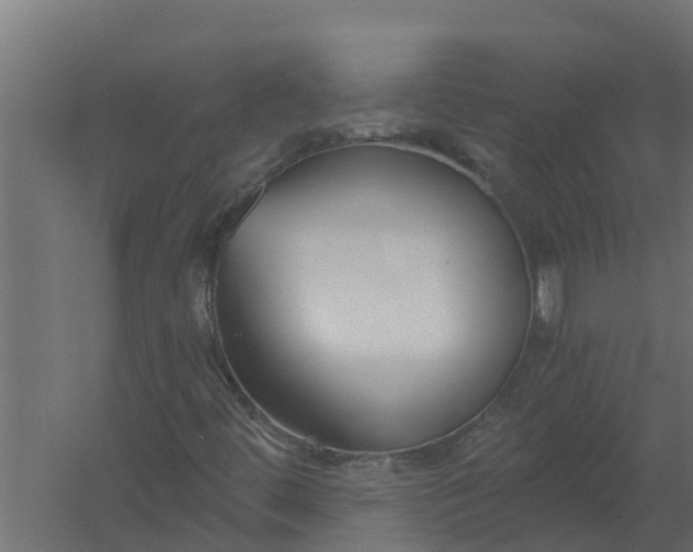X0000059791444200511041548