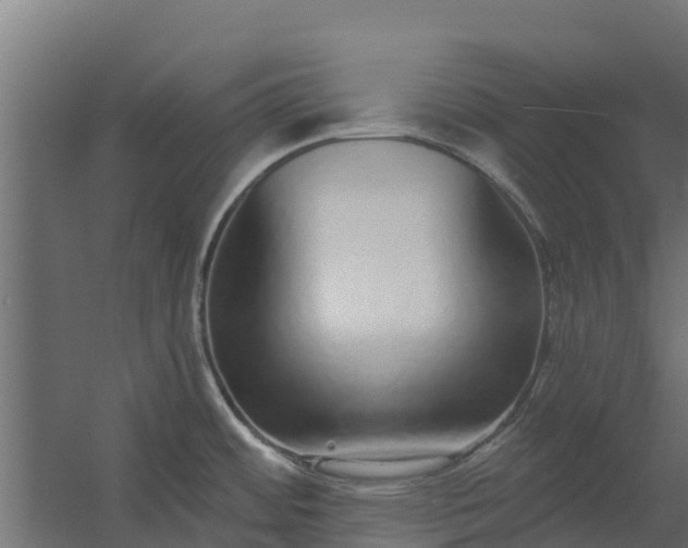 X0000059791484200511041547