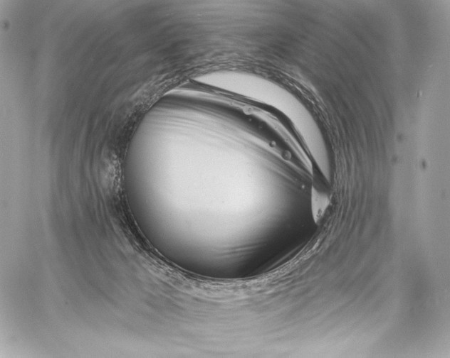 X0000059790029200511111547