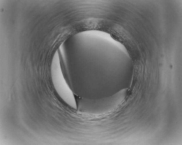 X0000059790035200511111547