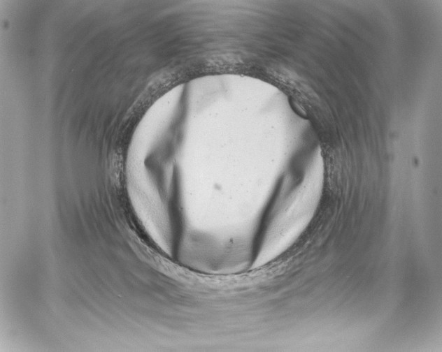 X0000059790038200511111547