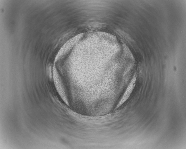 X0000059790042200511111546