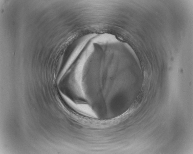 X0000059790048200511111546