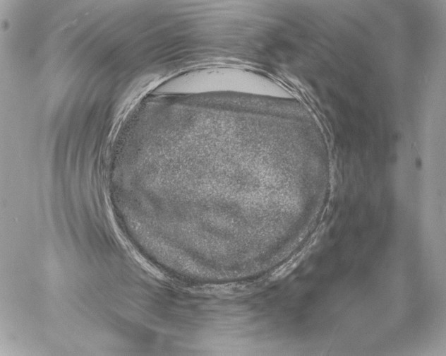 X0000059790049200511111545