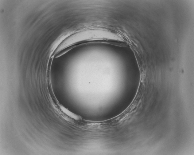 X0000059790052200511111546