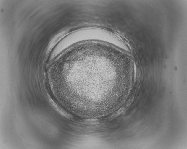 X0000059790053200511111546