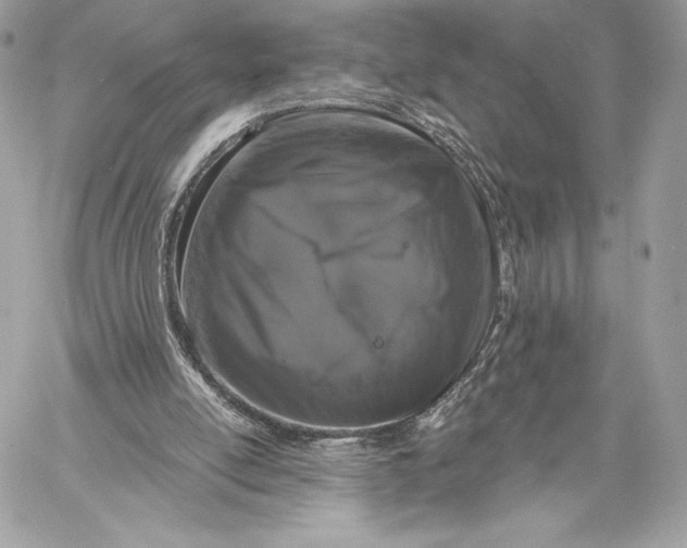 X0000059790054200511111546