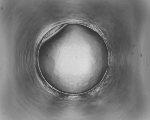 X0000059790055200511111546