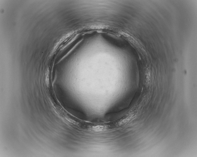 X0000059790064200511111546
