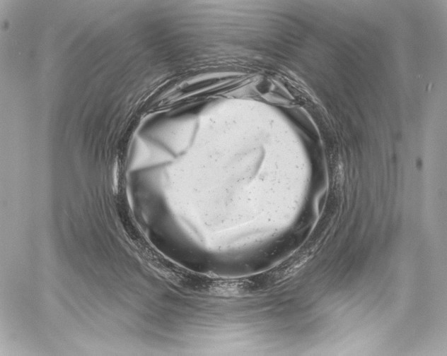 X0000059790076200511111546