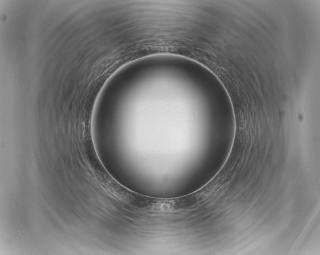 X0000059790080200511111546