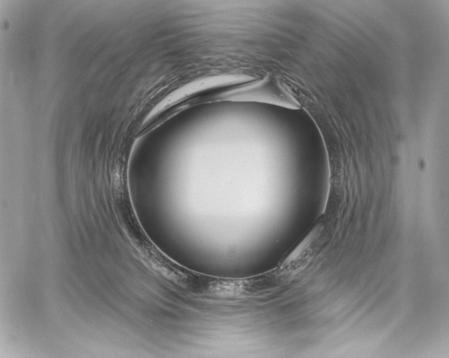 X0000059790084200511111546