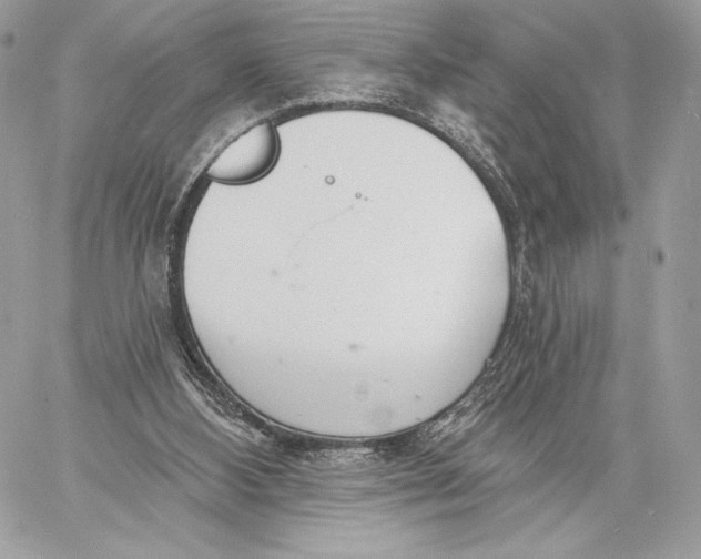 X0000059790108200511111545