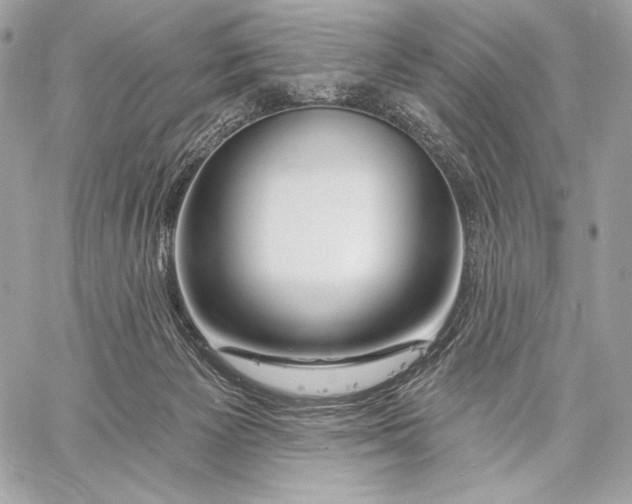 X0000059790125200511111545