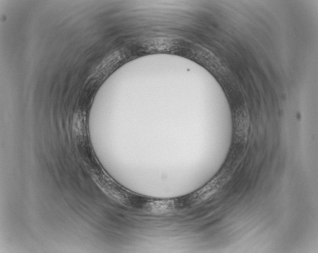 X0000059790126200511111545