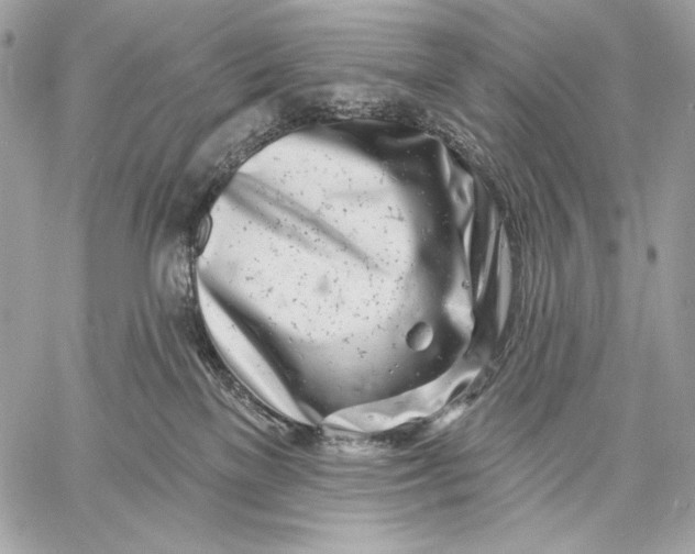 X0000059790137200511111545