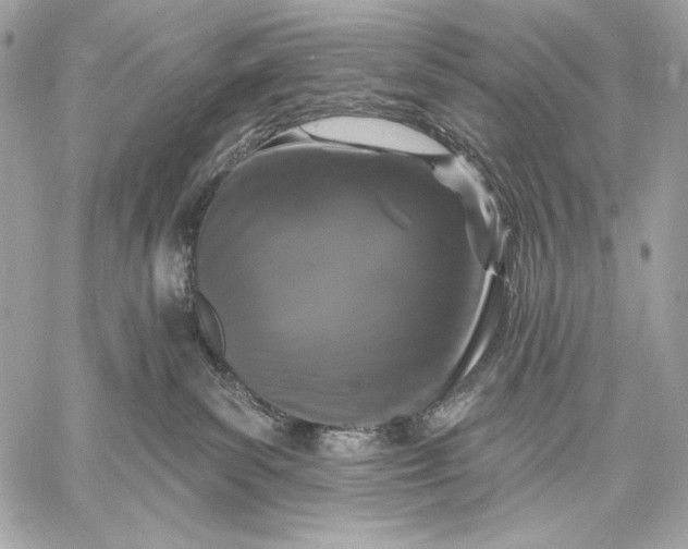 X0000059790139200511111545