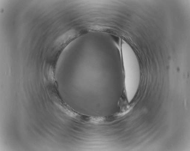 X0000059790143200511111545