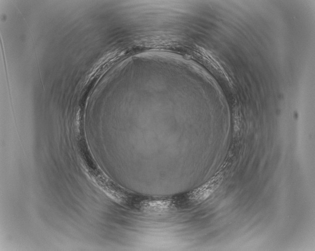 X0000059790163200511111544