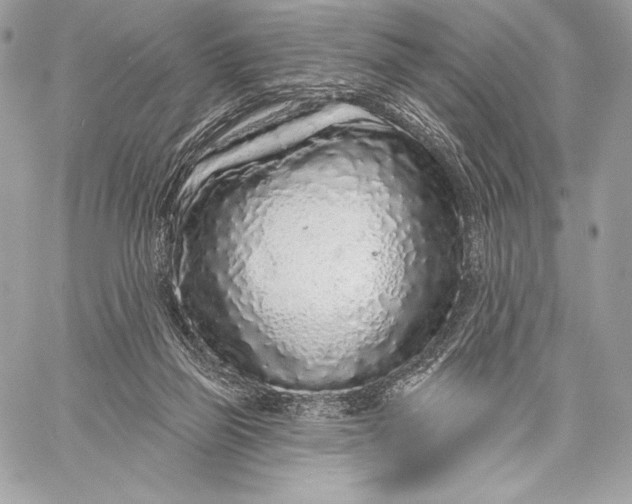 X0000059790165200511111544
