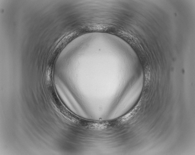 X0000059790166200511111544