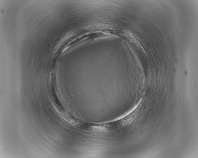 X0000059790167200511111544