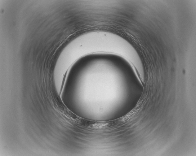 X0000059790172200511111544