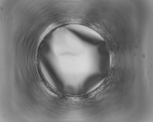 X0000059790195200511111544