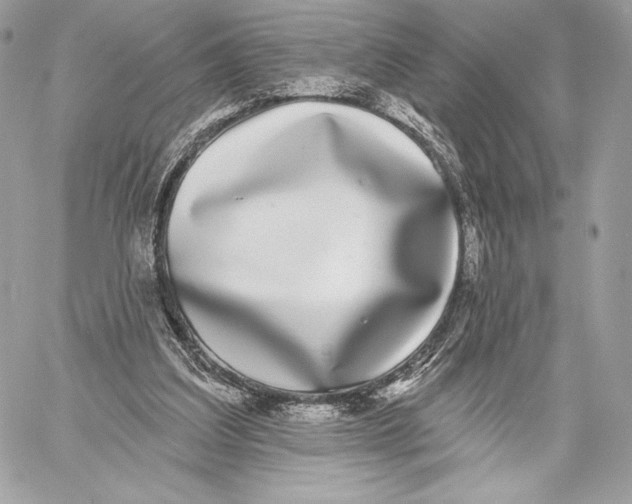 X0000059790203200511111544