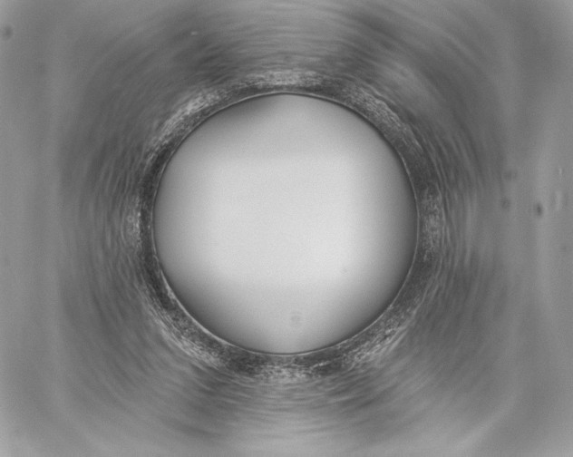 X0000059790207200511111544