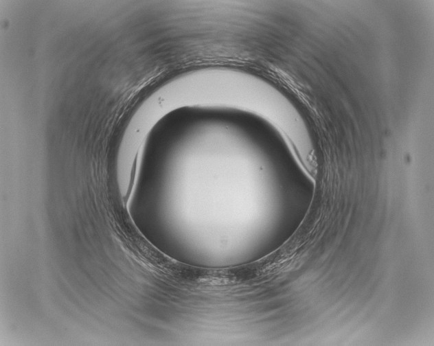 X0000059790211200511111544