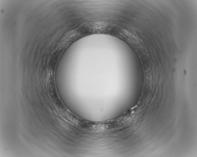 X0000059790225200511111543
