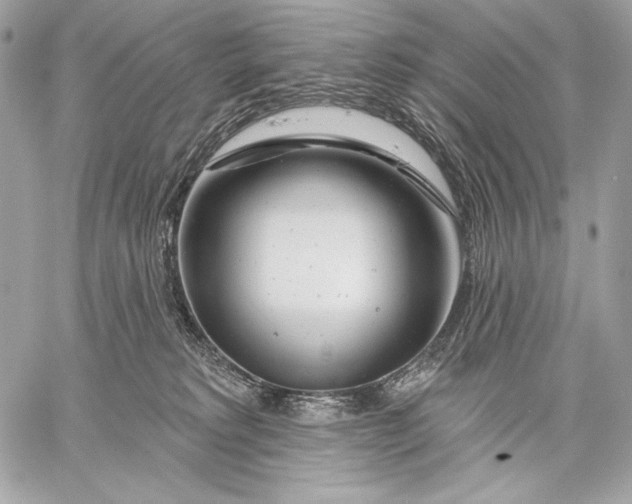 X0000059790229200511111543