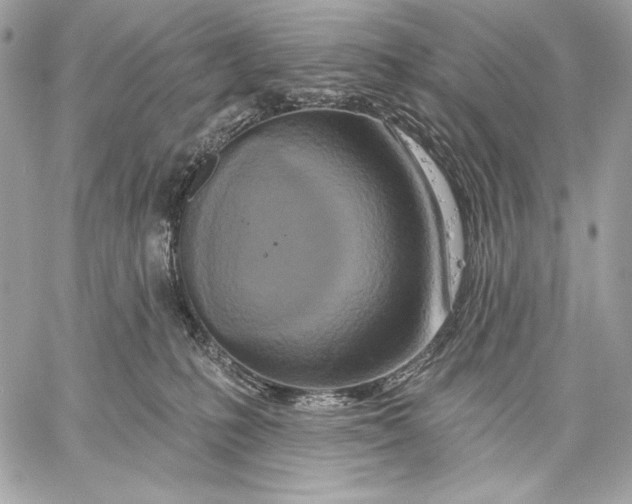 X0000059790231200511111543