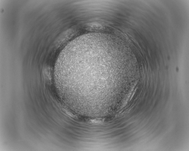 X0000059790232200511111543