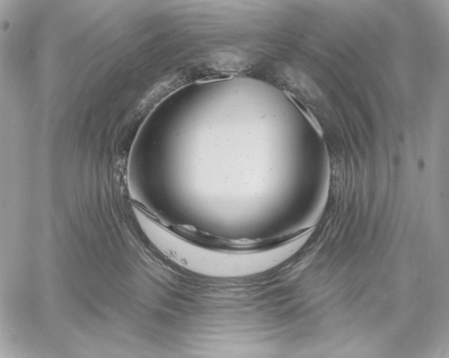 X0000059790237200511111543
