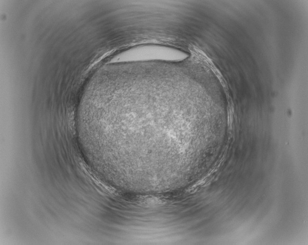 X0000059790249200511111542