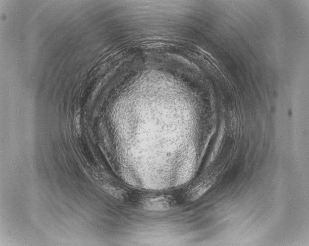X0000059790267200511111543